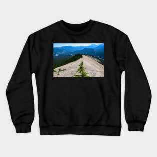 Lone Pine on the mountains top Crewneck Sweatshirt